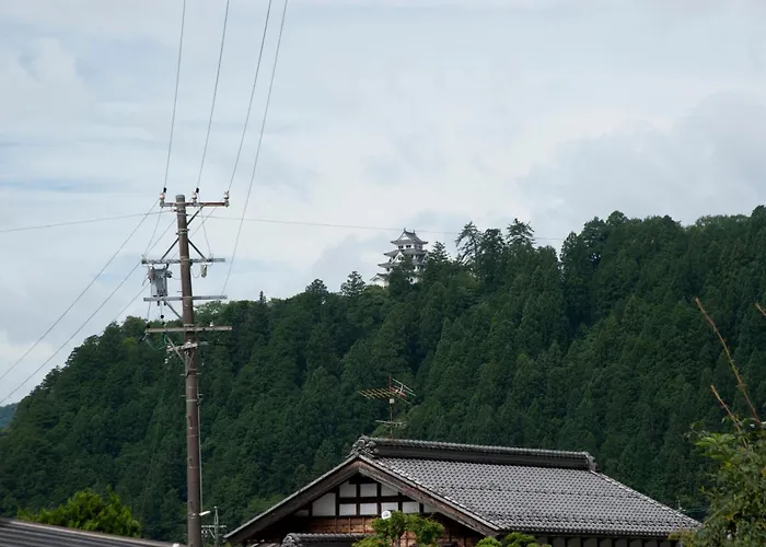 お宿葉の光